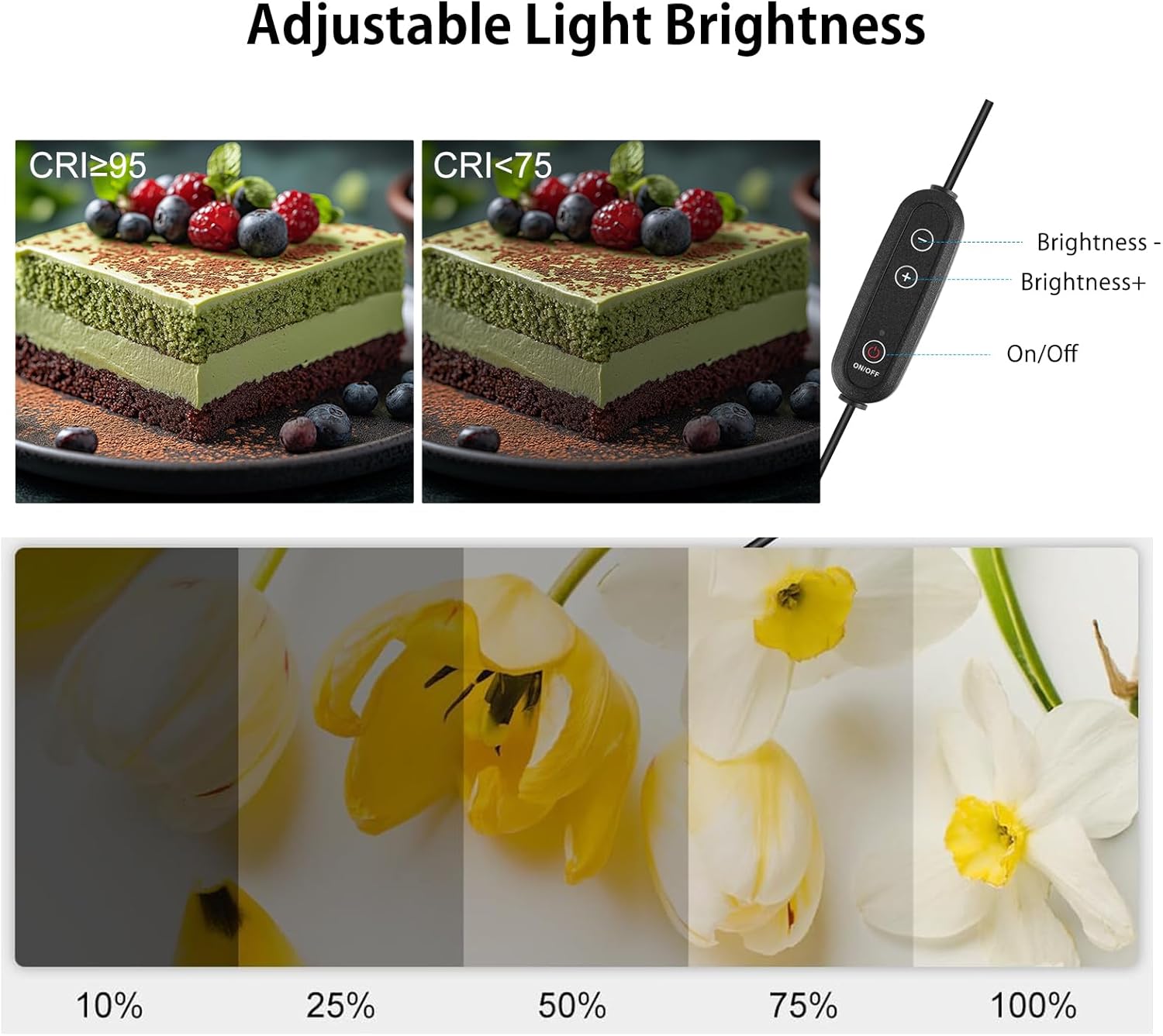 24x24 Photo Studio Light Box w - Photography Lighting Reference ulasan dan harga